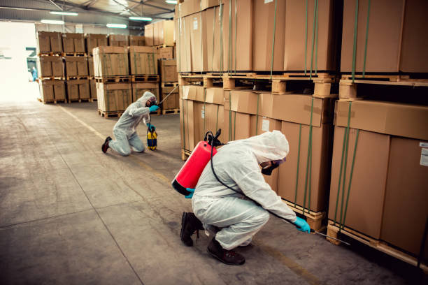Best Pest Inspection Near Me  in St Marys, WV