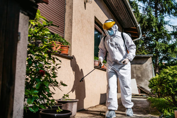 Best Pest Control Near Me in St Marys, WV