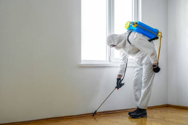 Best Best Pest Control Near Me  in St Marys, WV