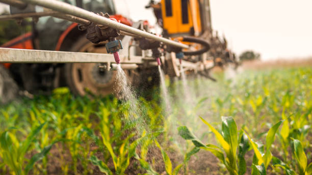 Best Commercial Pest Control Services  in St Marys, WV
